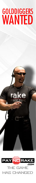 paynorake